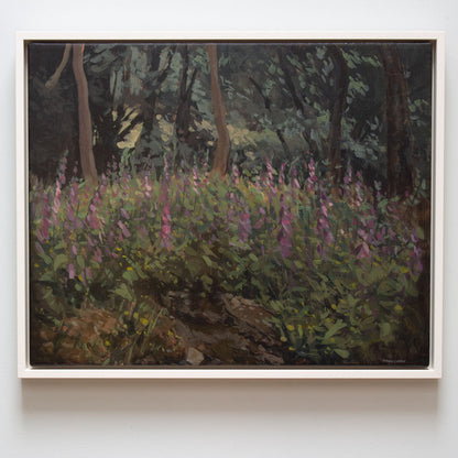 Foxgloves, Glen of the Downs