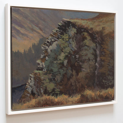 The cliff, Spinc, Glendalough