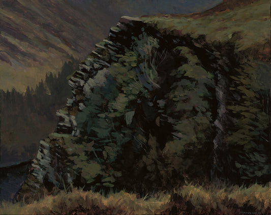 The cliff, Spinc, Glendalough