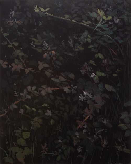 Painting of an overgrown forest edge area, dark from shade with bramble plants highlighted 